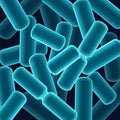 Rod-shaped bacilli bacteria Royalty Free Stock Photo
