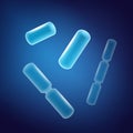 Rod-shaped bacilli bacteria Royalty Free Stock Photo