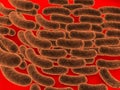 Rod shaped bacteria Royalty Free Stock Photo