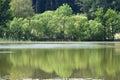 mirror calm Rodder Maar with reflected trees Royalty Free Stock Photo