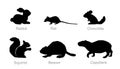 Rodent animals set vector silhouette illustration isolated on white background. Royalty Free Stock Photo