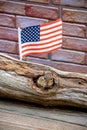 Rodent in a log with American flag Royalty Free Stock Photo