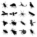 Rodent and pest silhouette Royalty Free Stock Photo