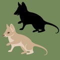 rodent quokka vector illustration black silhouette
