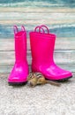 Rodent and pink rubber boots