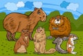 Rodents animals cartoon illustration