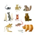 Rodents Vector Collection Royalty Free Stock Photo