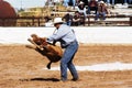 Rodeo action Royalty Free Stock Photo