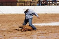 Rodeo action Royalty Free Stock Photo