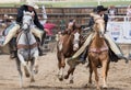 Rodeo Action Royalty Free Stock Photo