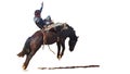 Rodeo bareback rider taming a wild bucking horse Royalty Free Stock Photo