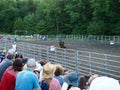 Rodeo Barrel Racing Royalty Free Stock Photo