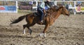 Rodeo barrel riding competition