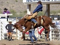 Rodeo Bucking Bronc Rider Royalty Free Stock Photo