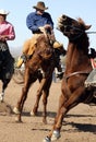 Rodeo Bucking Bronc Rider Royalty Free Stock Photo