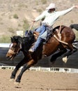 Rodeo Bucking Bronc Rider