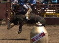 Rodeo Bull Rider Royalty Free Stock Photo