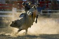 Rodeo Bull and Rider Royalty Free Stock Photo