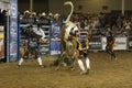 Rodeo bull rider cowboys Royalty Free Stock Photo