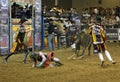 Rodeo bull rider cowboys Royalty Free Stock Photo