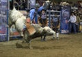 Rodeo bull rider cowboys Royalty Free Stock Photo