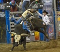 Rodeo bull rider cowboys Royalty Free Stock Photo