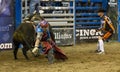 Rodeo bull rider cowboys Royalty Free Stock Photo