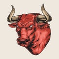 Rodeo bull vintage sticker colorful