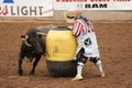 Rodeo Clown and Bull