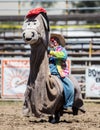 Rodeo Clown