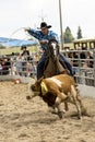 Rodeo competition