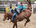 The Rodeo Cowboy Hangs on Royalty Free Stock Photo