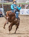 The Rodeo Cowboy Hangs on Tightly Royalty Free Stock Photo