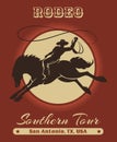 Rodeo Cowboy Poster