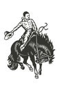 Rodeo - cowboy rider sitting on a wild horse mustang Royalty Free Stock Photo