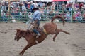 Rodeo cowboy riding horse bucking event