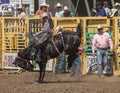 Rodeo Cowboy on A rough Ride