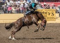 Rodeo Cowboy on A rough Ride