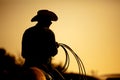 Rodeo cowboy silhouette Royalty Free Stock Photo