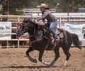 Rodeo Cowgirl Royalty Free Stock Photo