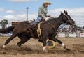 Rodeo Cowgirl Barrel Racer