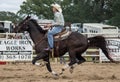 Rodeo Cowgirl