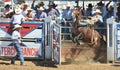 American Rodeo in Colorado