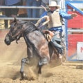 American Rodeo in Colorado Royalty Free Stock Photo