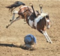 American Rodeo in Colorado Royalty Free Stock Photo