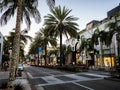 Rodeo Drive palms on the August 12th, 2017 - Los Angeles, LA, California, CA Royalty Free Stock Photo