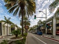 Rodeo Drive Street with stores and Palm Trees in Beverly Hills - Los Angeles, California, USA Royalty Free Stock Photo