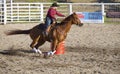 Rodeo barrel riding competition