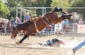 Rodeo an extreme sport