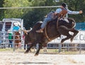 Rodeo an extreme sport